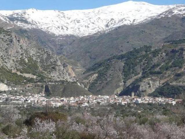 Cortijo del Tuerto Nigüelas Granada