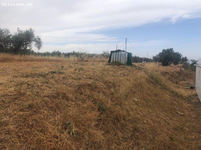 Cortijo en Venta en Cogollos de la Vega, Granada