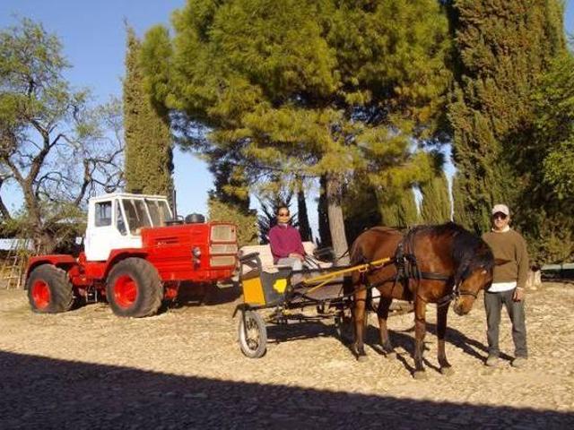 Cortijo Ferradores Humilladero Málaga