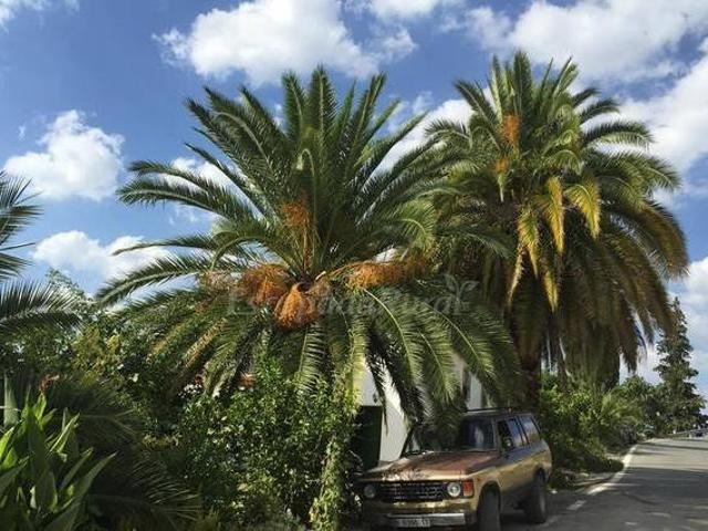 Cortijo La Huerta