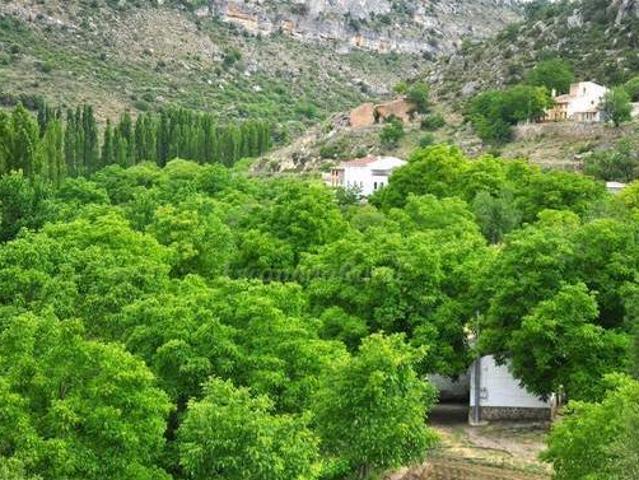 Cortijo Ramón Petra