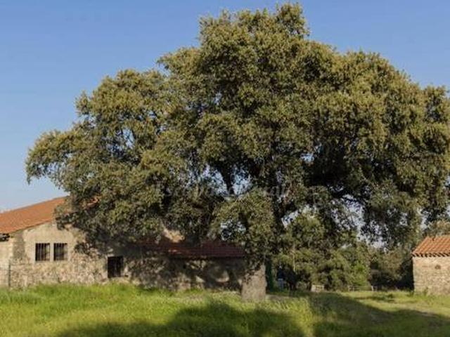 Cortijo Risquillo