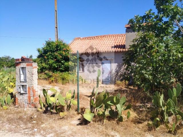 Coruche Coruche 102046060
