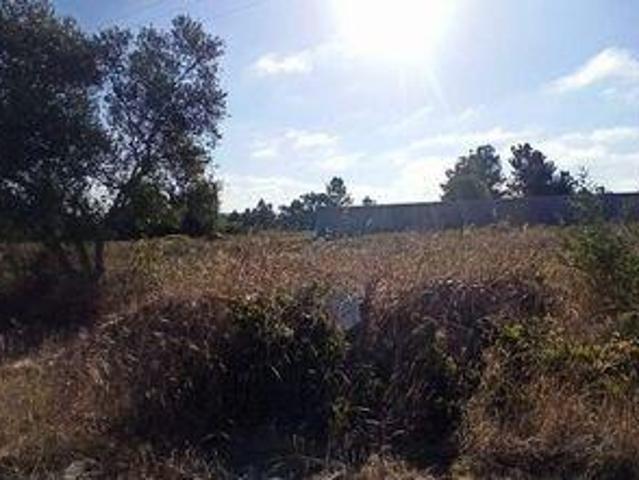 Coruche Santarem LS94577679