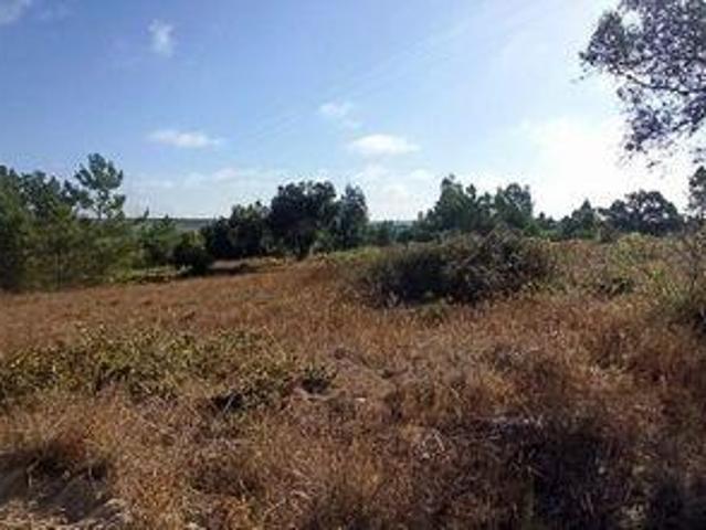 Coruche Santarem LS94577682