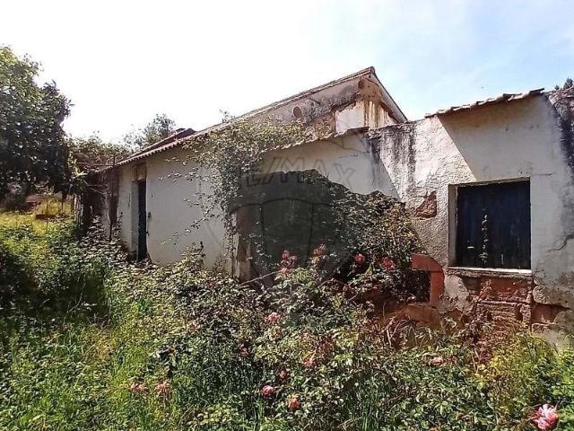 Coruche Santarém 101690139