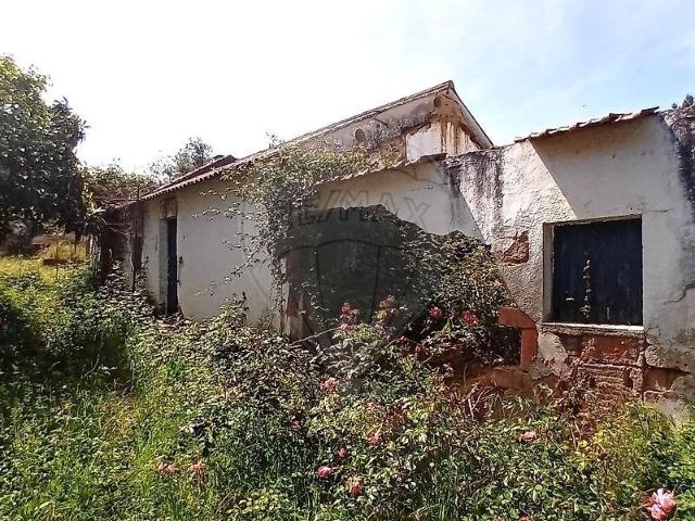 Coruche Santarém 102884243