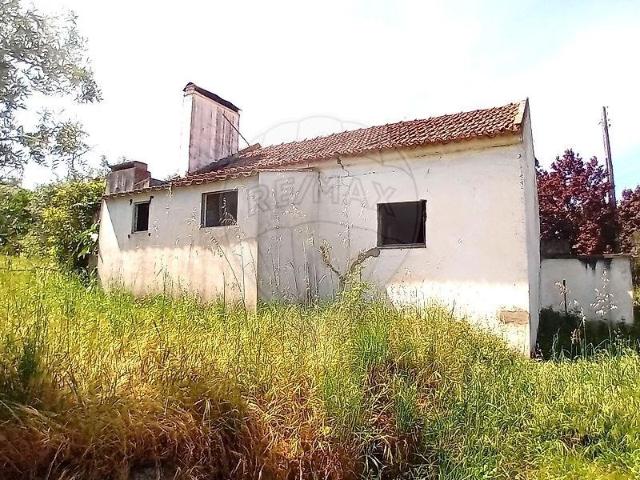 Coruche Santarém 103092120
