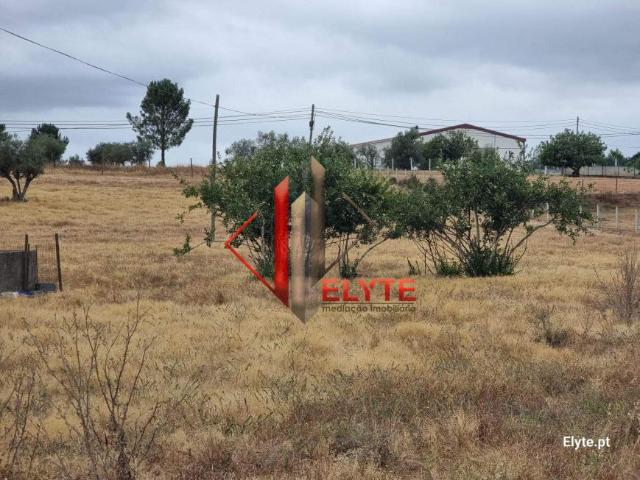 Coruche Santarém 2100 607 92822446