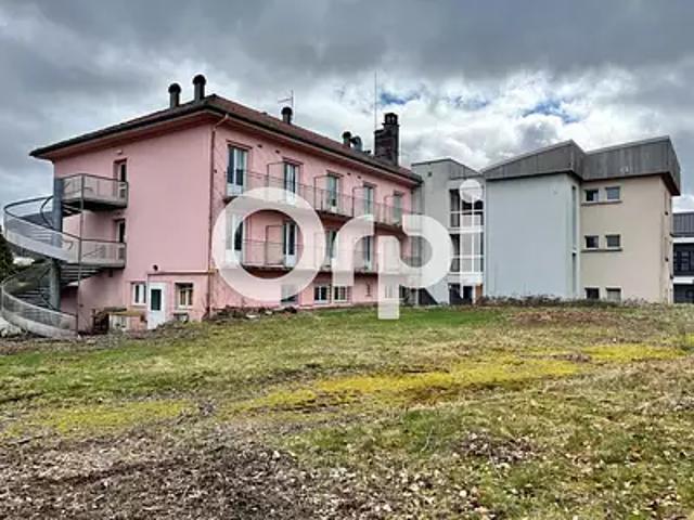 Gérardmer 88400 Achat / Vente immeuble jardin