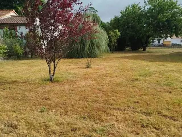 Corcoué sur Logne 44650 Achat / Vente terrain