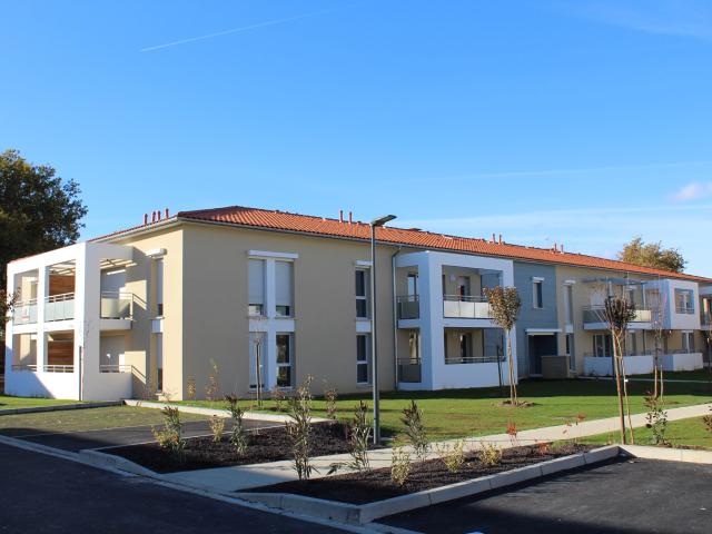 Cornebarrieu Vente Appartement 31