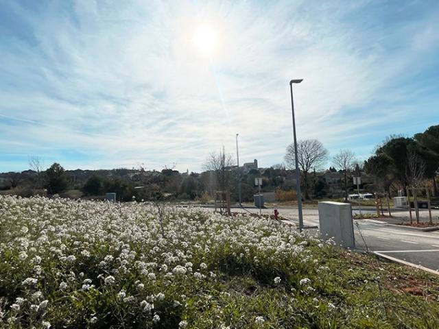 Corneilhan Vente Terrain 34