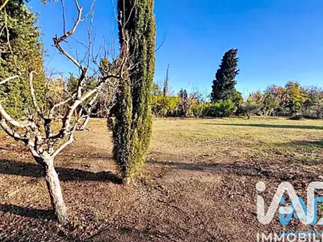 Corneilla la Rivière 66550 Achat / Vente terrain