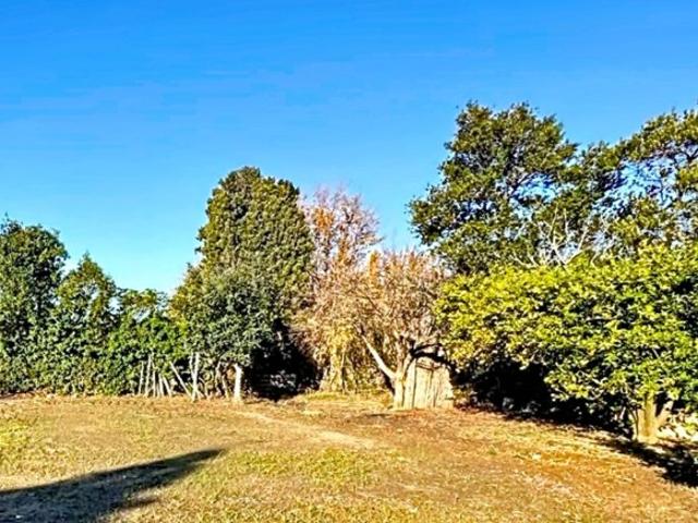 Corneilla la Rivière Vente Terrain 66