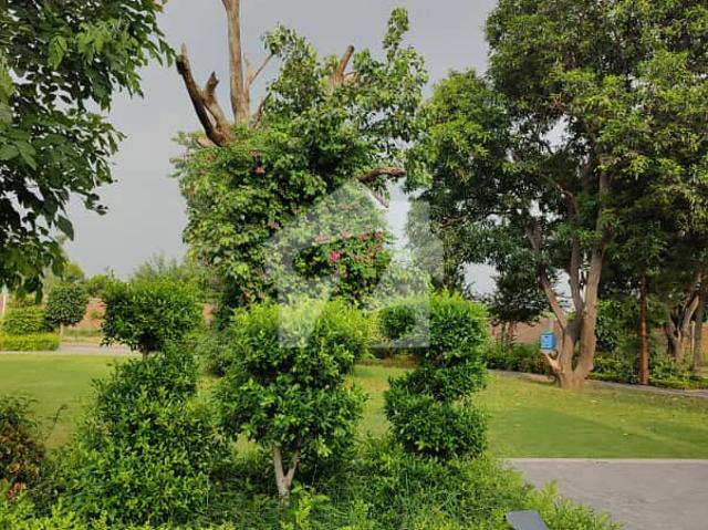 Corner commercial plot for sale in the prime location of dream gardens lahore