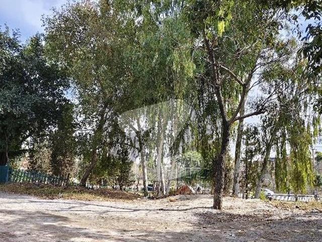 Corner House Extra Land Size 30*60 Brand New Triple Story House For Sale I 10/2