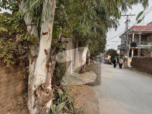 Corner House For Sale In Gulistan Colony