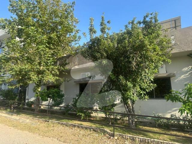 Corner House In G 16/4 Sized 1800 Square Feet Is Available G 16/4