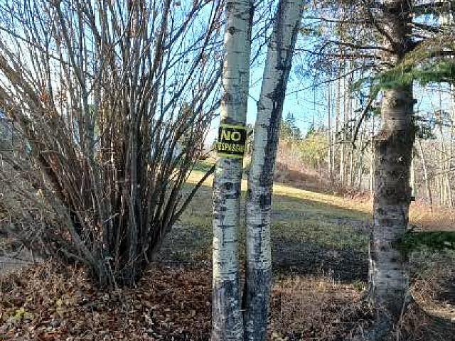 Corner Lot Full Serviced Ready To Build Reduced 12.5 K 27500