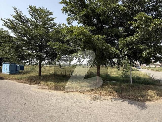 Corner Plot For Sale