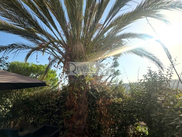 Corniche Fleurie Superbe 2 pièces avec jardin, piscine et garage