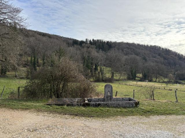 Cornod Vente Terrain 39