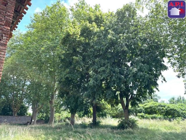 Corps de ferme