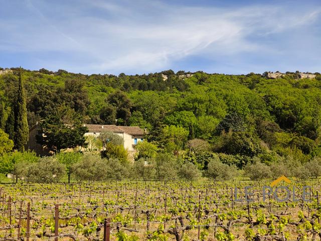 CORPS DE FERME A FORT POTENTIEL / CADRE EXCEPTIONNEL