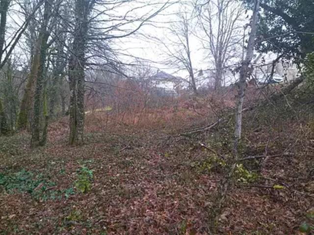 Corrèze 19800 Achat / Vente terrain