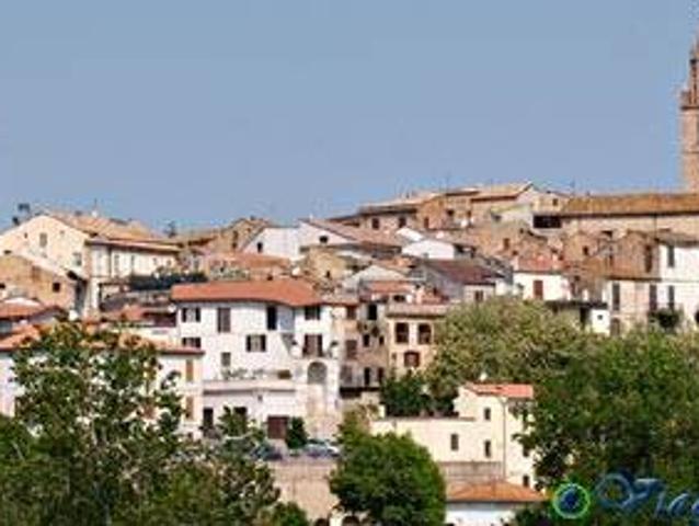 Corropoli appartamento affitto