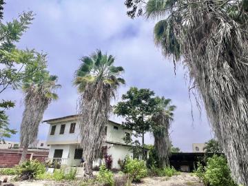COSTA DE ORO: AMPLIO TERRENO CON CASA Y PALMERAS