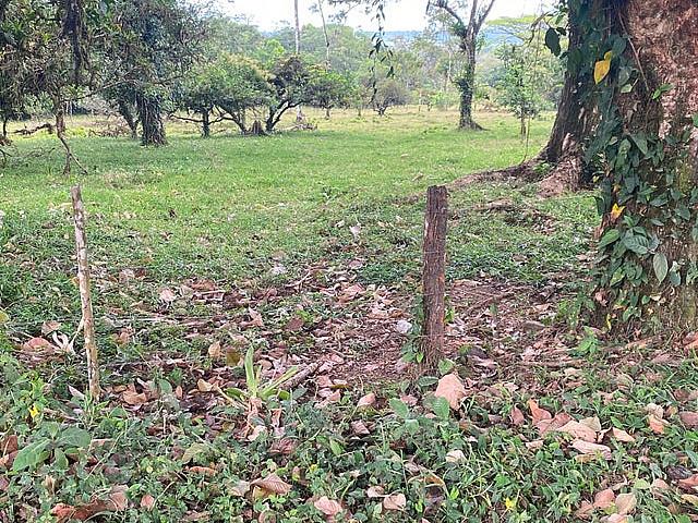 Costa Rican Building Lots Available With All Services