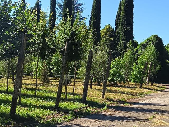 Costruzione in vendita di m² in Via Salaria, 84