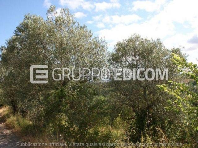 Costruzione in vendita di m² in Viale IV Novembre