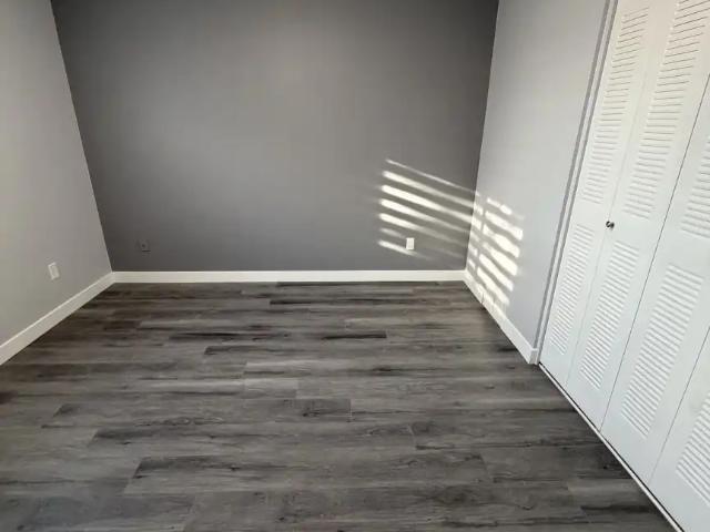 Cosy newly upgraded house for rent