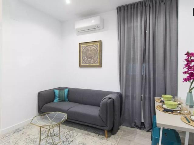 Cosy room for rent in recently renovated 3 bedroom apartment in Goya