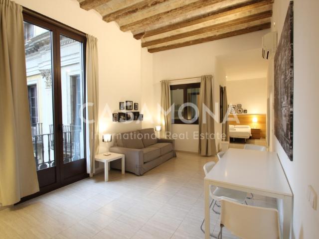 Cosy Studio with Elevator, Balcony and Views over Plaza Reial