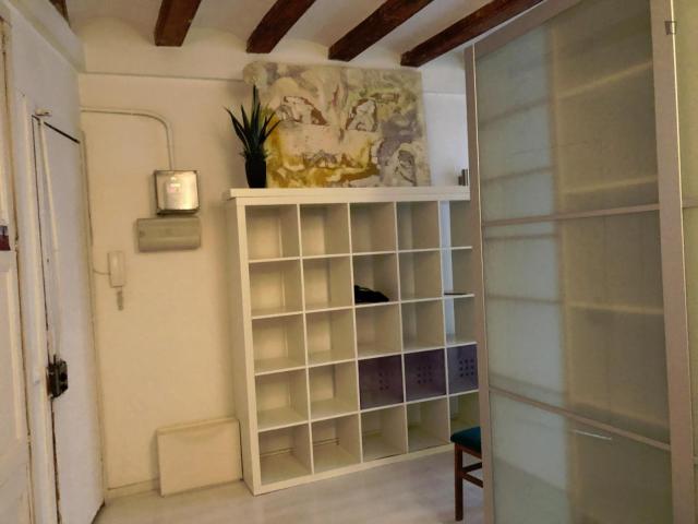 Cosy studio in the city centre, close to Parc de la Ciutadella