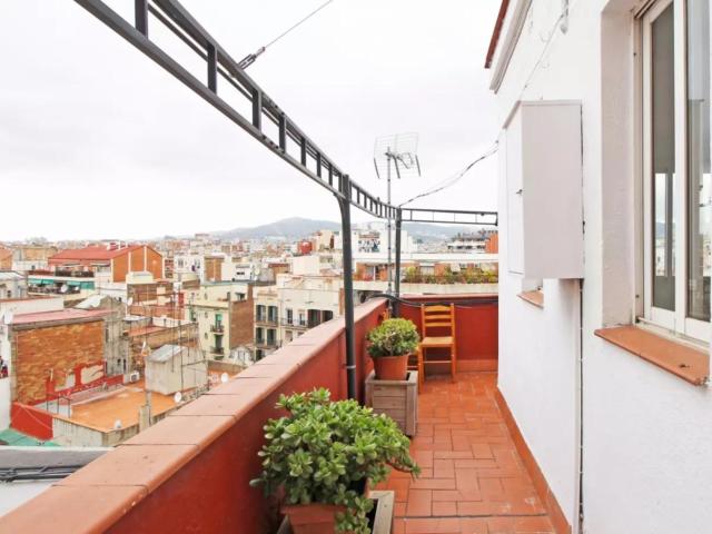Cosy single bedroom in shared flat in the well connected Sants Montjuïc area