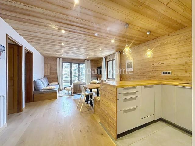 Cosy T3 pistes à pieds avec vue à Praz sur Arly 74120