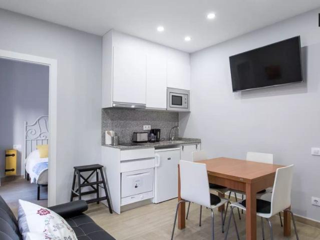 Cosy 1 bedroom apartment for rent in Poble sec