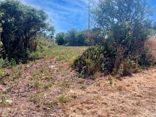 Cosqueville Vente Terrain 50