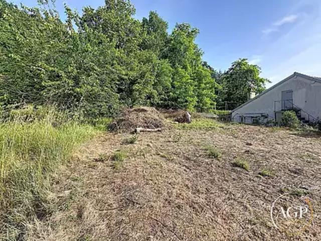Coteaux sur Loire 37130 Achat / Vente terrain