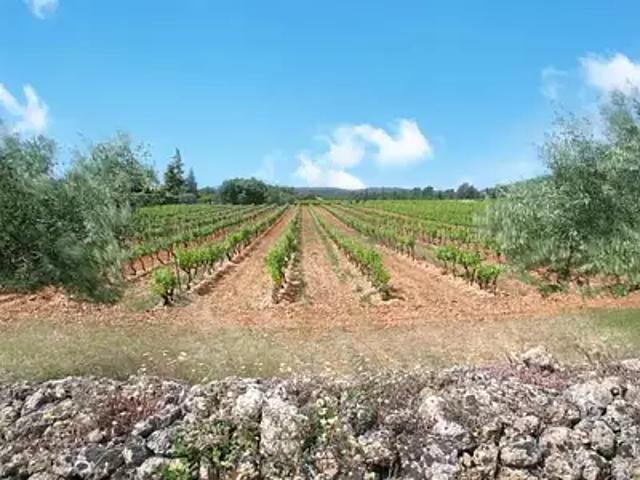Cotignac 83570 Achat / Vente maison
