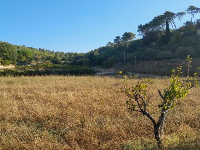 Cotignac Vente Terrain 83
