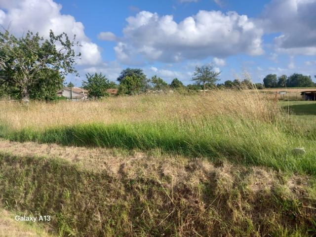 Coux Vente Terrain 17