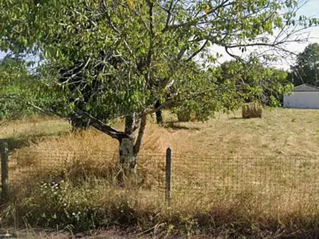 Coulounieix Chamiers 24660 Programme neuf terrain neuf à vendre