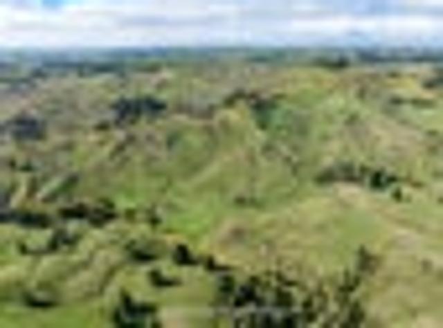 100 acres of opportunity