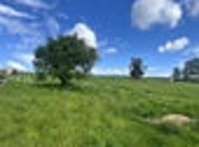 COUNTRY LIVING BECKONS